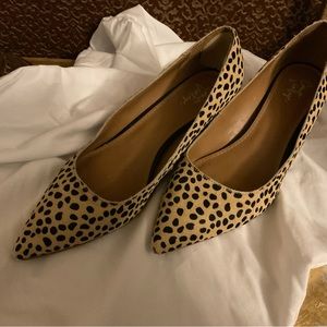 Super sexy animal print shoes